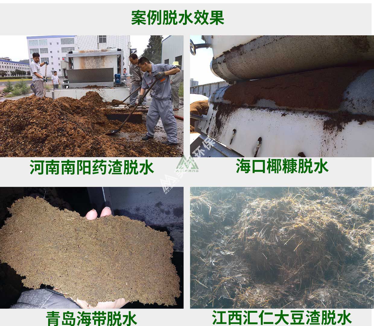 1555994625134887.jpg zhiwu6.jpg