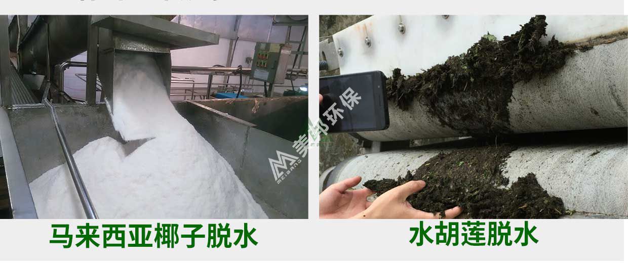 1555994631109085.jpg zhiwu7.jpg