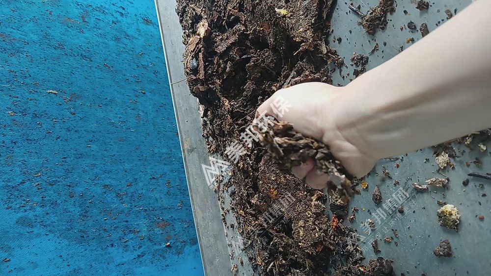 帶式壓榨機脫水后的中藥渣手抓不出水 帶式壓榨機脫水后的中藥渣手抓不出水